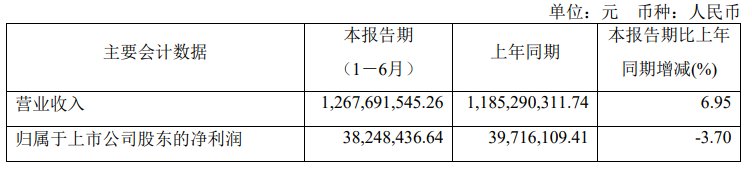 掌阅科技上半年业绩喜人:营收增长6.95%,归母净利润达3824.84万元