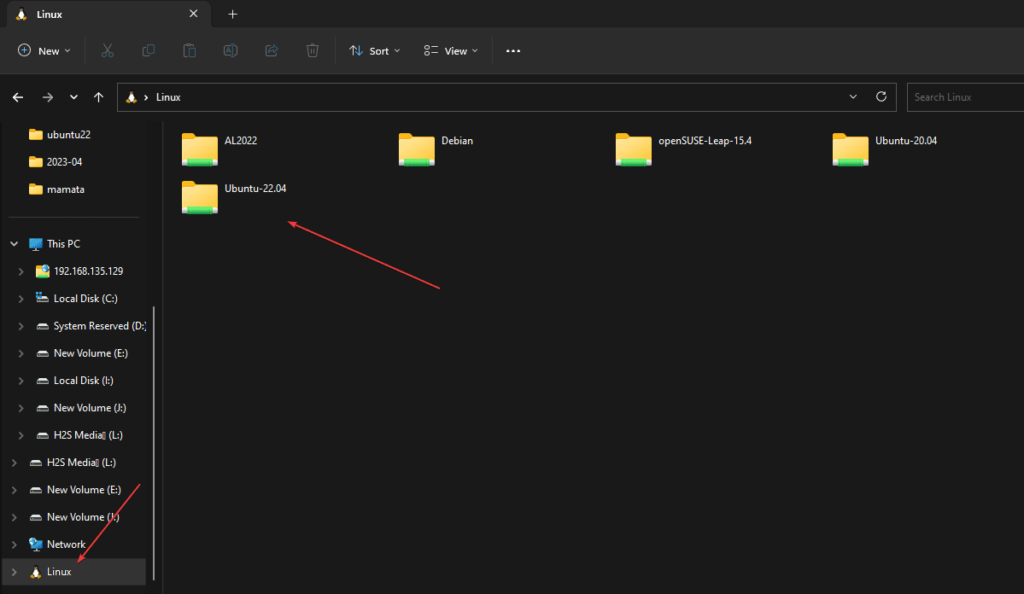 如何使用Windows GUI查找WSL主目录?