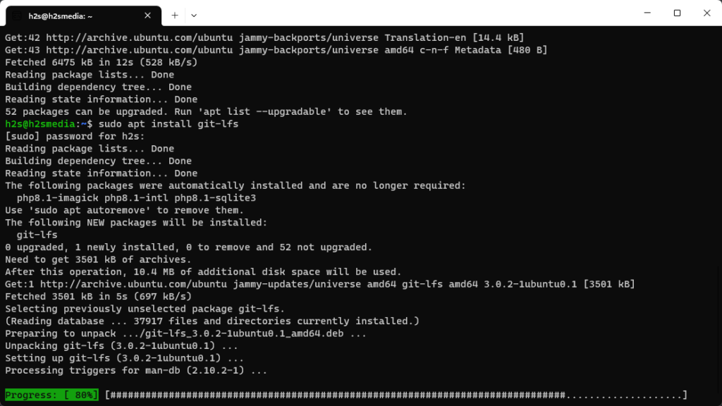 如何在 WSL2 – Windows 11 或 10 上安装 Git LFS?