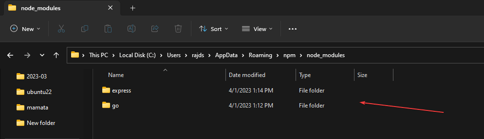 Windows 10 中 npm 软件包的默认安装位置在哪里?
