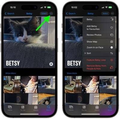 如何在照片中使用宠物识别功能为宠物命名：iOS 17指南