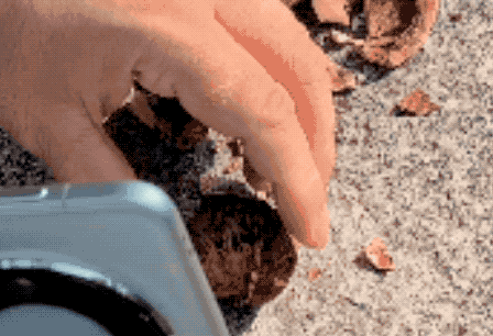 华为 Mate60 系列惨遭网友花样虐机,行业领先的超可靠玄武架构是如何让其渡劫的?