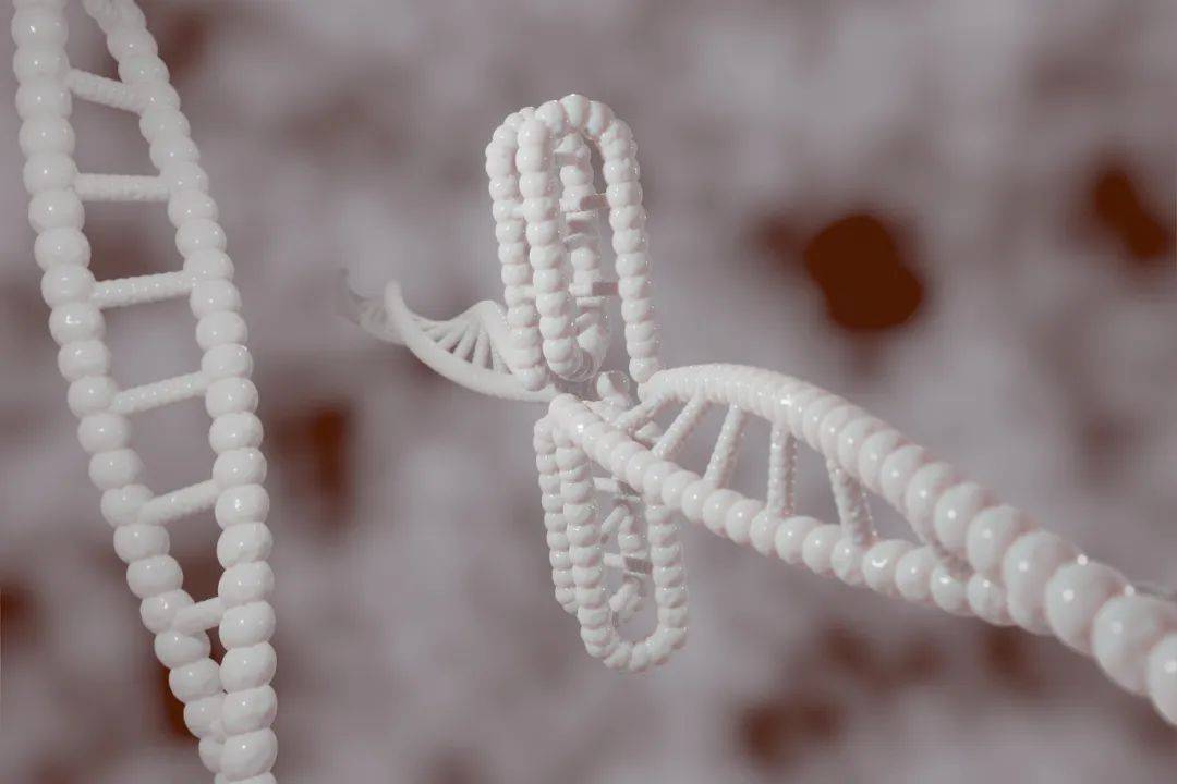 生命科学商业化浪潮来临:百图生科与赛诺菲达成超10亿美元战略合作