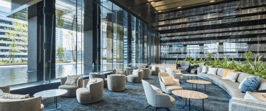 We are Hiring | 软银机器人中国 2024 管培生计划现已开启招募!