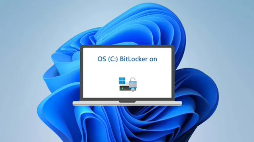 Windows 11 BitLocker问题暴露:SSD性能受影响