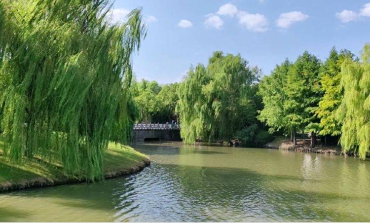 在赵巷公园里,孩子们邂逅了一场智能机器人的探秘之旅