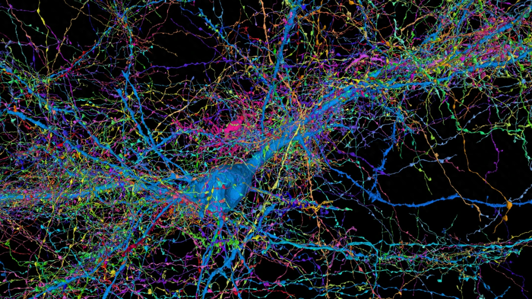 谷歌科学家 Nature 评论:人工智能如何更好地理解大脑