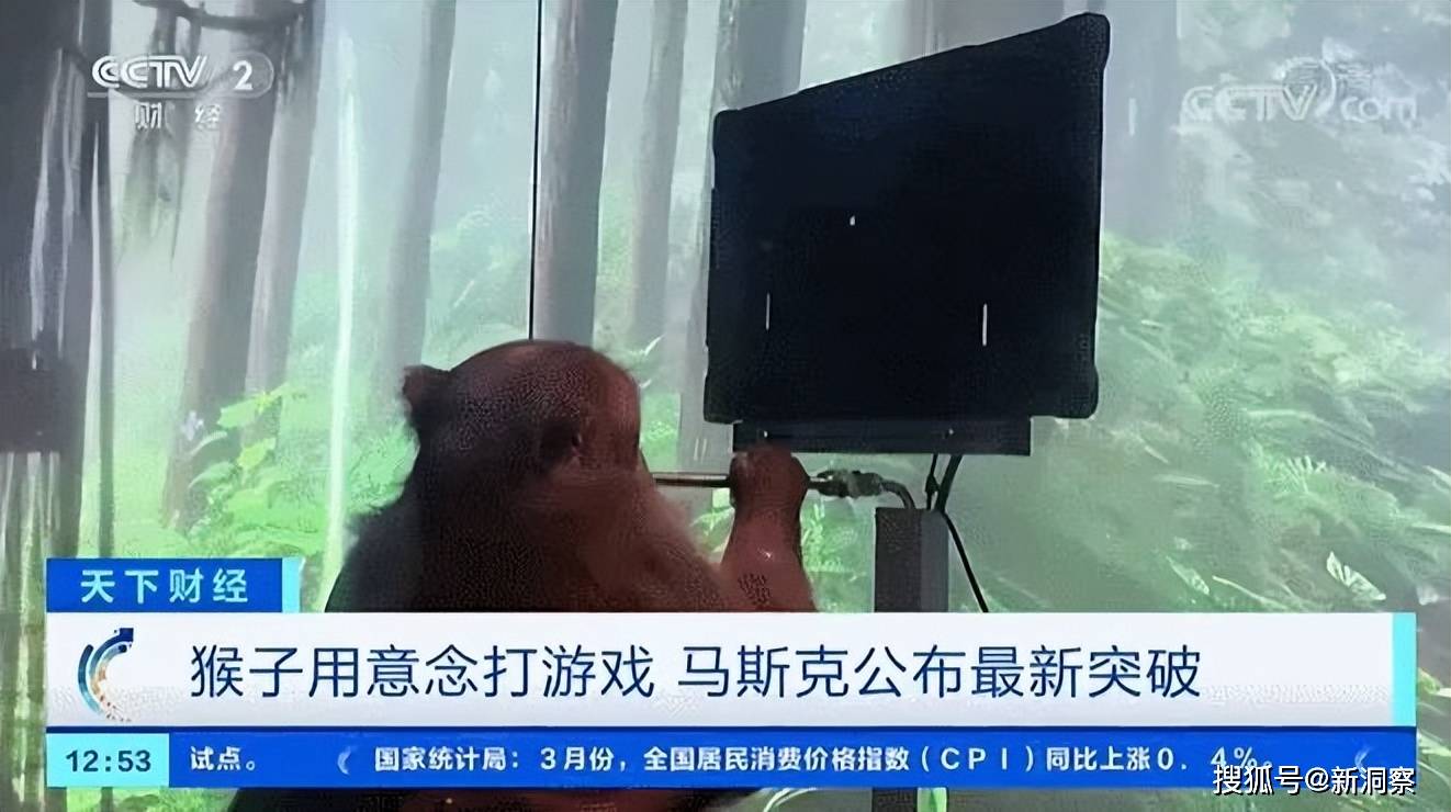 标题重写：韩国发生机器人杀人事件，识别技术失灵！
