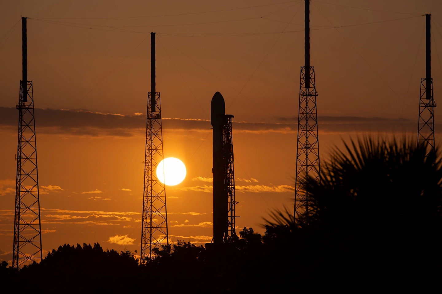 SpaceX 员工指责马斯克为登陆火星不顾风险,导致受伤率远高于行业平均水平