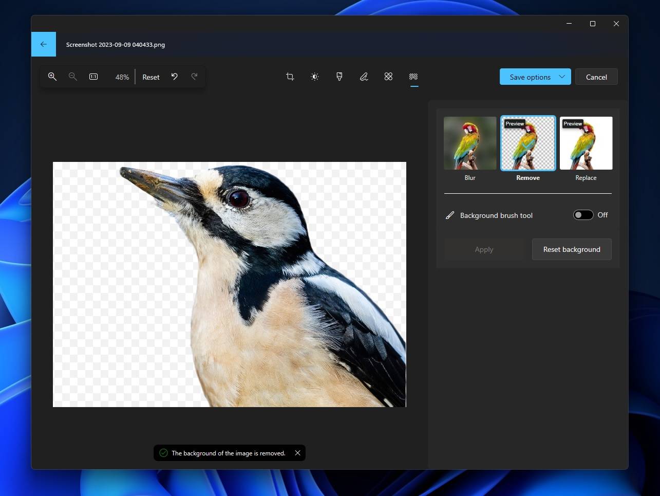 Windows 11 上的 Microsoft 照片经历了一次重大的 AI 升级,引入了类似 Google 相册的功能测试