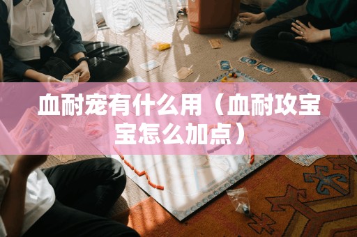宠物的血耐属性有何作用?如何为血耐攻宝宝进行技能点分配?