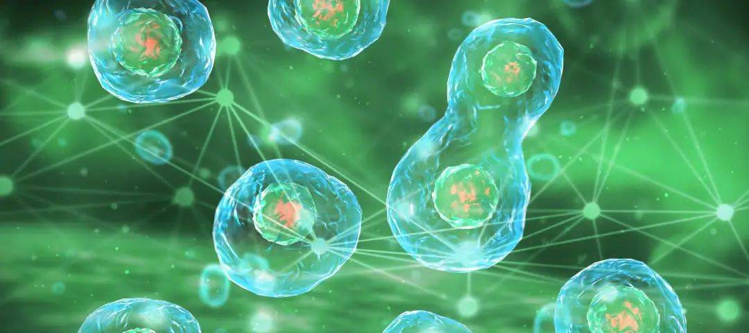 中国科学院研究团队发布了两篇重要论文:首个跨物种生命基础大模型问世,以及新型细胞命运预测AI模型的发布
