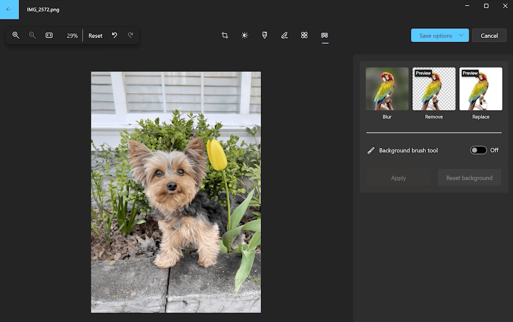 微软邀请用户测试 Win11 新版照片应用:一键抠图、替换背景、引入时间轴等
