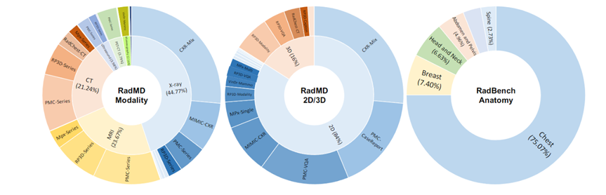 首个开源多模态医疗基础模型RadFM,支持2D/3D放射影像输入