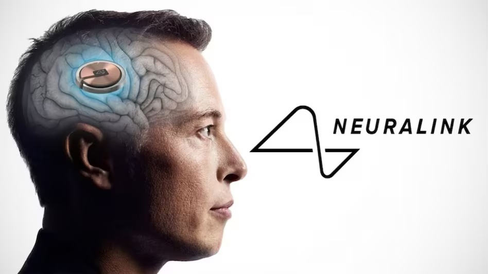 美国议员质疑马斯克 Neuralink 公司的安全性,要求 SEC 对其进行证券欺诈调查