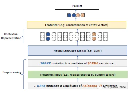 生物医学NLP领域的特定预训练模型:PubMedBERT