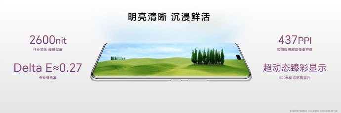 绿洲护眼屏 + 单反级写真相机!荣耀 100 系列线上开售仅半小时,销量同比增长 260%