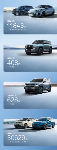 比亚迪新纪录：2023年11月新能源汽车销量超30万辆