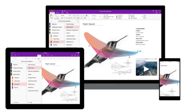 微软公告:从2023年11月开始,停止支持 OneNote for Windows 10 的翻译功能