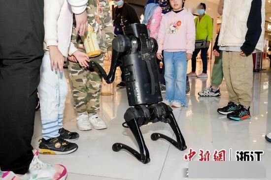 AI黑科技展在绍兴举办,