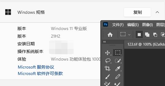 Win11系统中,是否兼容PS CS5?