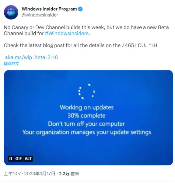 微软宣布本周不会发布任何新的Win11 Dev或Canary预览版本!