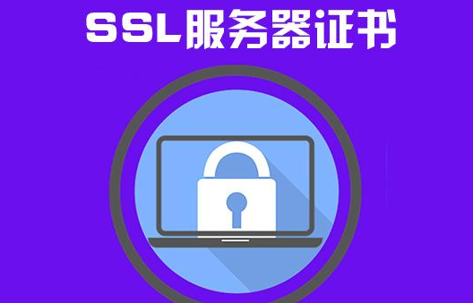 常用的ssl无法被win11客户端和服务器支持