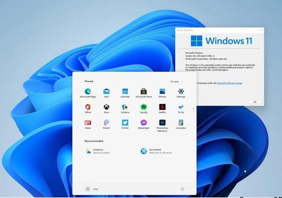 win11企业版和家庭版之间的差异是什么?