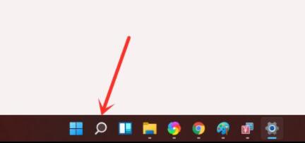 Win11的搜索功能是否支持展开详细信息?