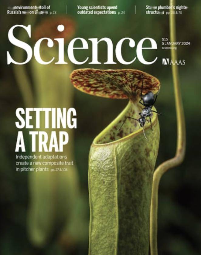 《Science》期刊引入 Proofig AI 检测图像欺诈，避免学术造假