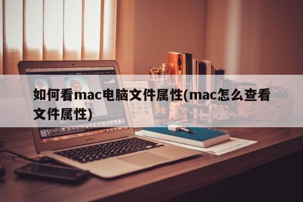 mac电脑文件属性查看方法