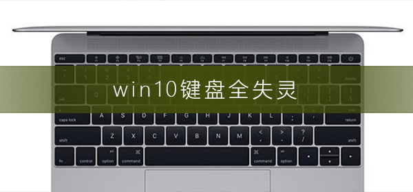 电脑键盘完全无法使用