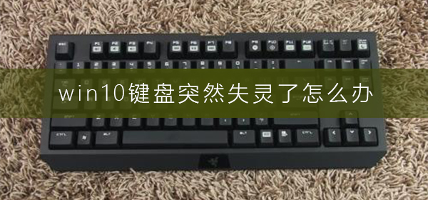 如何解决突然发生的Win10键盘故障问题