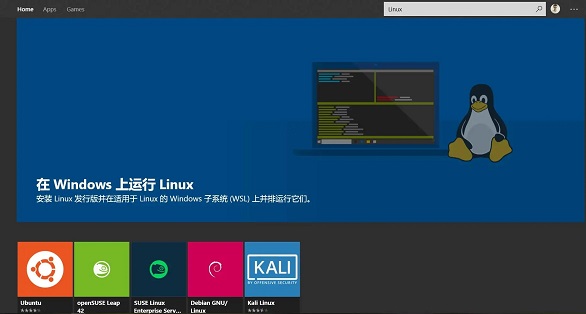 Windows 11是否对开发环境有影响?