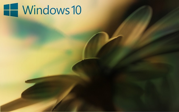 重装win10系统所需费用是多少?
