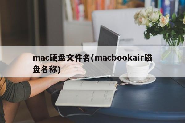 macbook air磁盘文件夹名称
