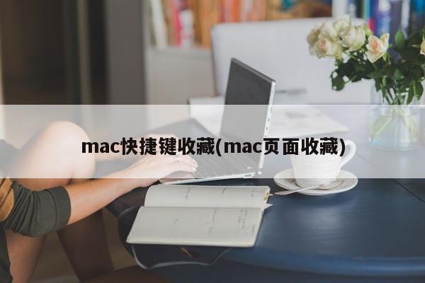 mac常用快捷键收藏(mac常用页面收藏)
