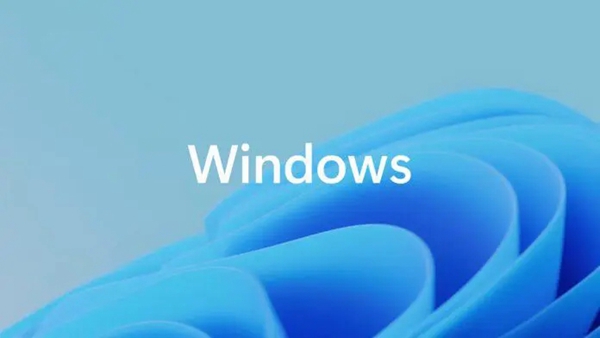 win11网络连接界面空白原因及解决方案