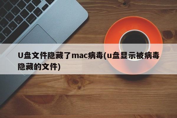 U盘中的文件被隐藏的Mac病毒