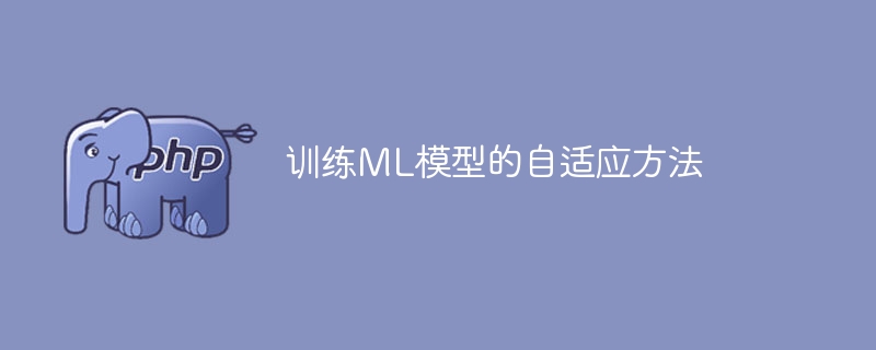 自适应方法用于训练机器学习模型
