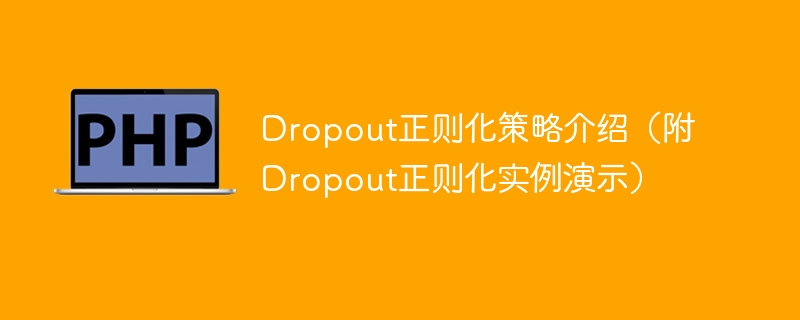 Dropout正则化策略解析及实例演示
