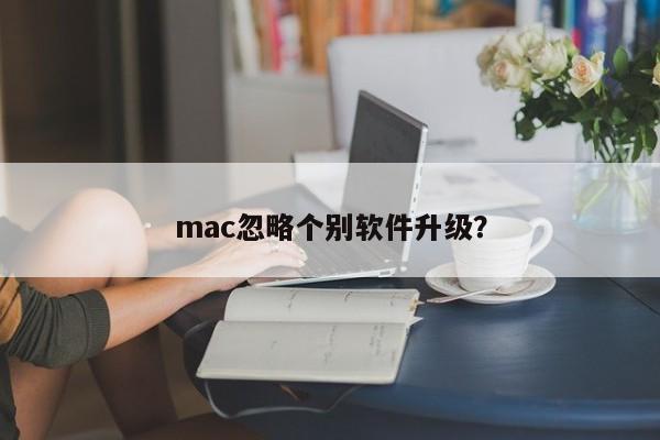 mac忽略个别软件升级？
