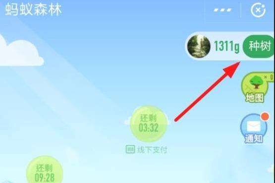 认领支付宝蚂蚁森林保护地的步骤