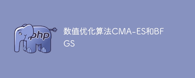 CMA-ES与BFGS:数值优化算法的比较