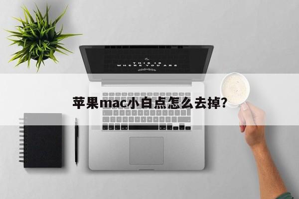 如何消除苹果Mac屏幕上的小白点？