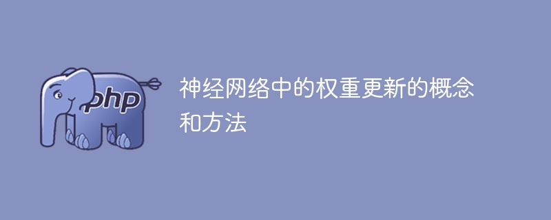 神经网络权重更新的概念和技巧