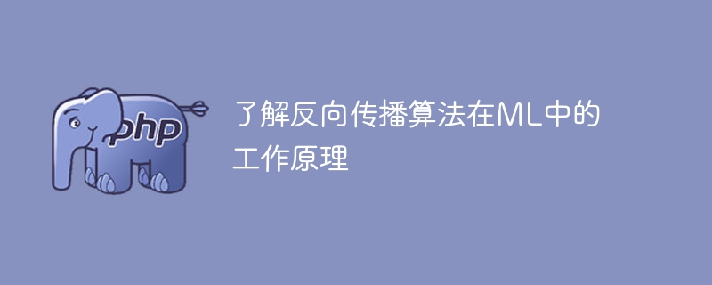 了解反向传播算法在ML中的工作原理