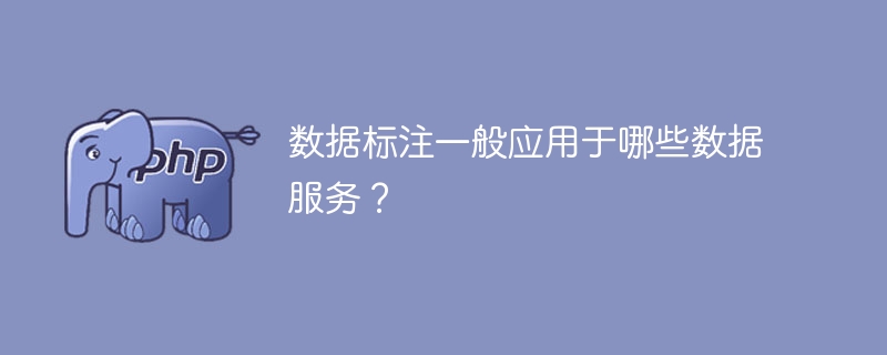 常见的数据标注应用领域有哪些?