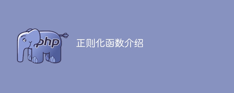 介绍正则化函数的概念