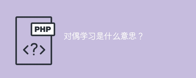 什么是对偶学习的含义?